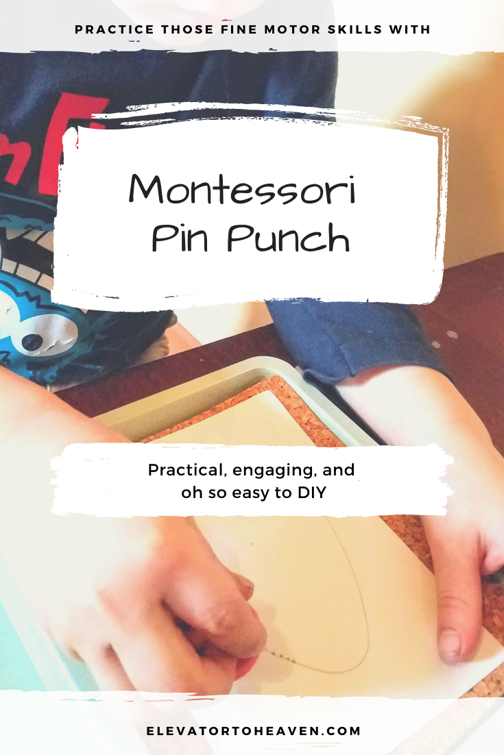 montessori pin punch