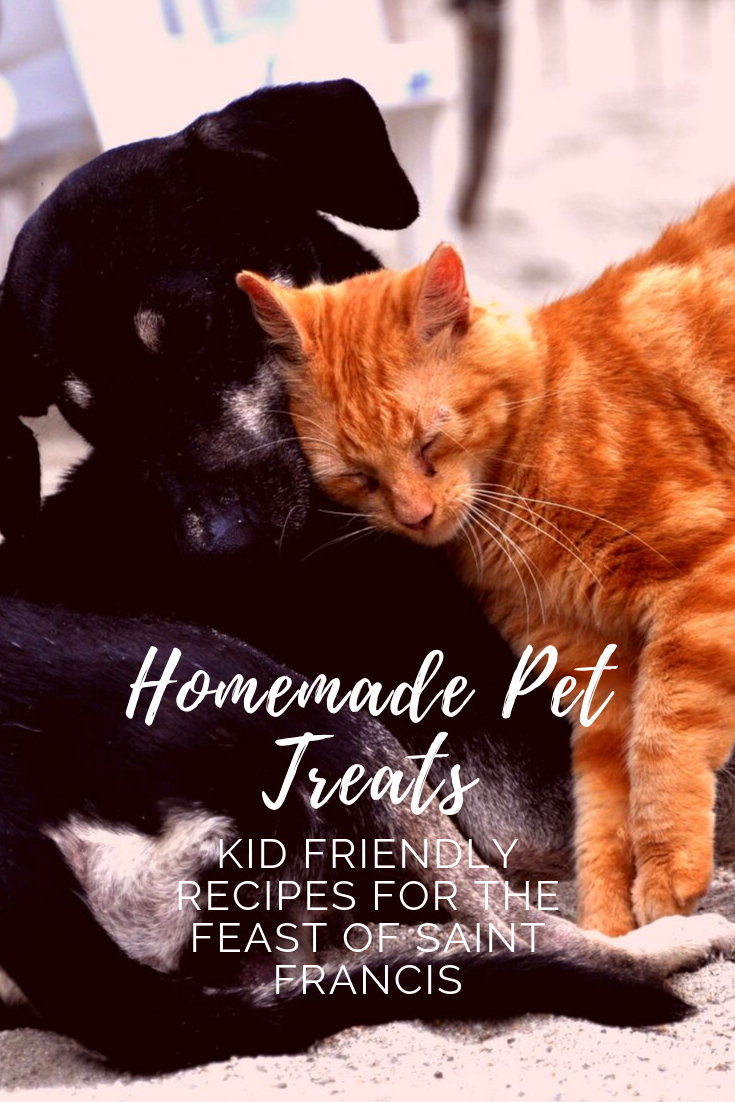 Pet recipes