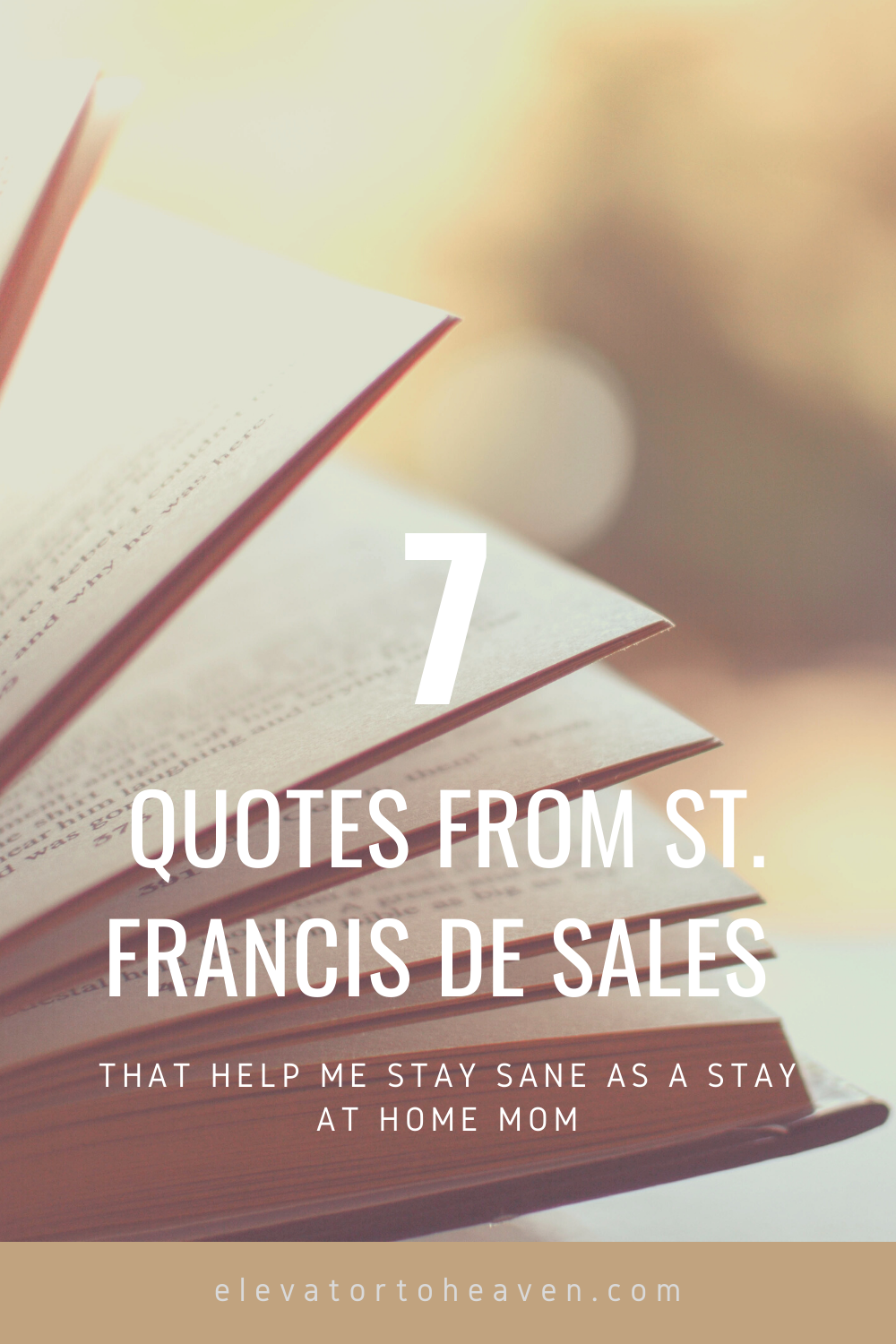 St. Francis de Sales